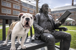 Yale Campus BenjaminFranklin Bulldog